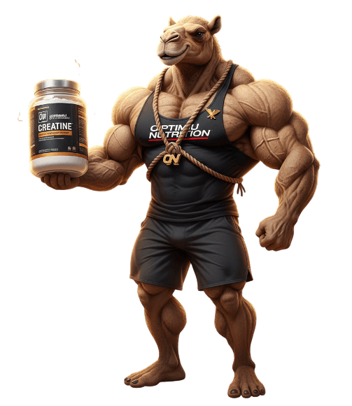 Optimum Nutrition Micronized Creatine — official UAE reseller