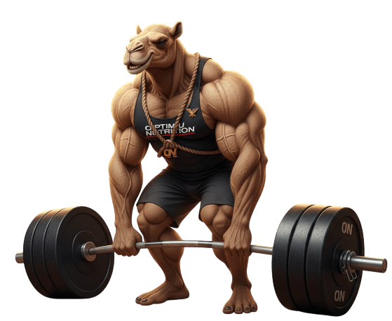 Creatine science infographic